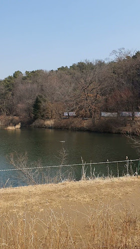 Opinii despre 월페이퍼(wall paper) în 성남시 - 외식업