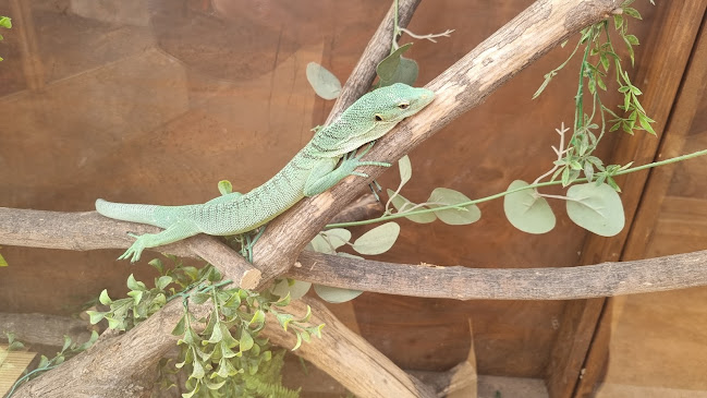 경기도 양주시 은현면 화합로691번길 153-24