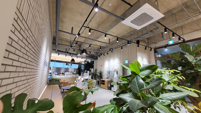 카페베네 강릉안목항점 Caffe Bene - 강릉시