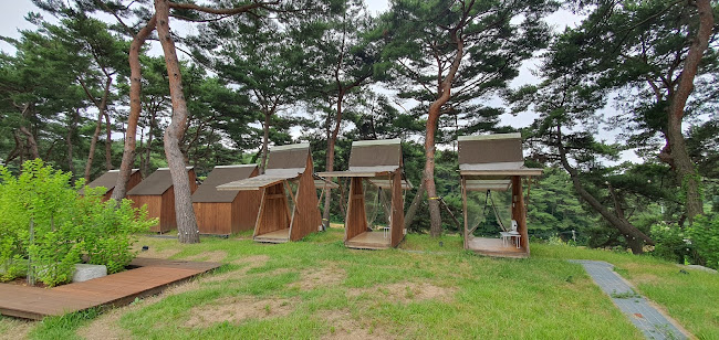 Comentarii opinii despre 카페로우