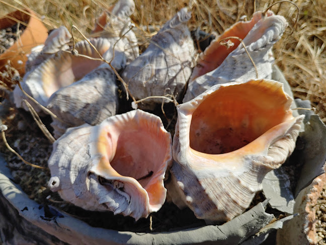 군산커피마을 - 군산시
