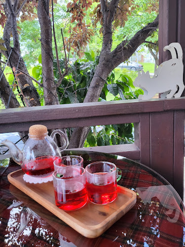 Comentarii opinii despre 커피나무