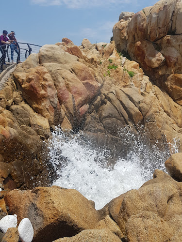 피자마루 - 외식업