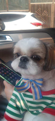 개린이집 - 외식업