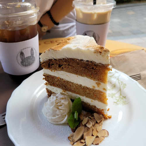 세시셀라 아브뉴프랑판교점 - 외식업