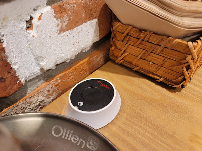 올리앤 고양화정점