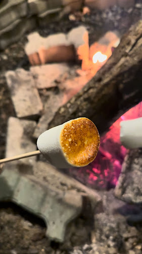 콩카페 - 외식업