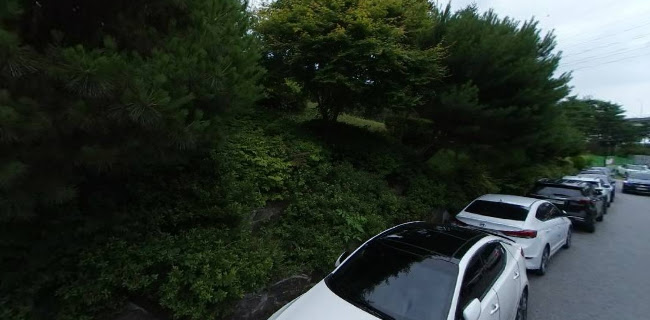 Opinii despre 르디투어 광교 în 수원시 - 외식업