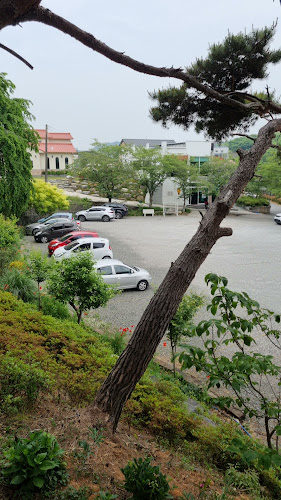 엔제리너스 진주금호못점