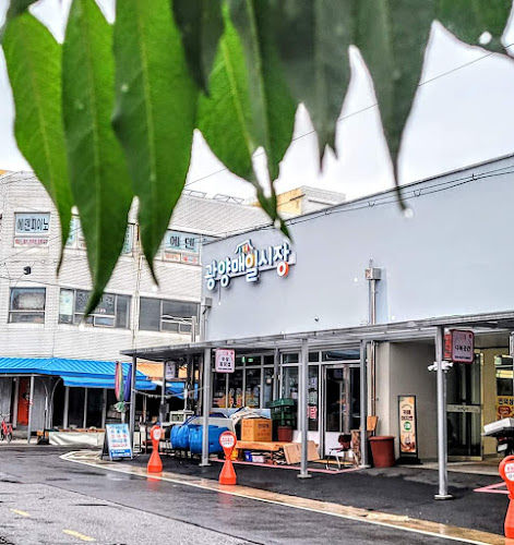 전라남도 광양시 광양읍 읍내리