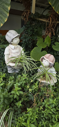 Comentarii opinii despre 이플카페