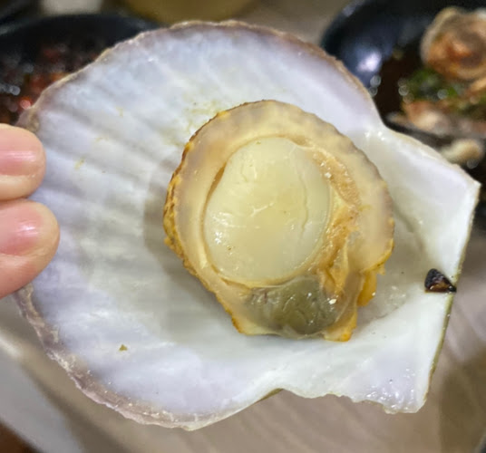 Comentarii opinii despre 개코포차