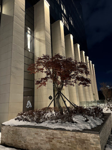 경기도 성남시 분당구 백현로 26 1층