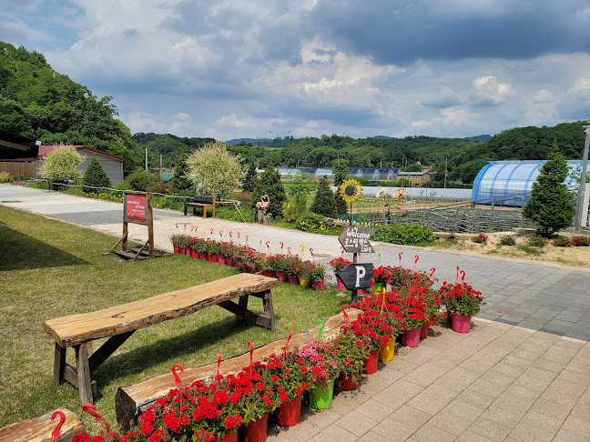 Comentarii opinii despre 내마음의숲