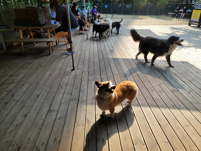 경기도 수원시 영통구 망포동 599-1