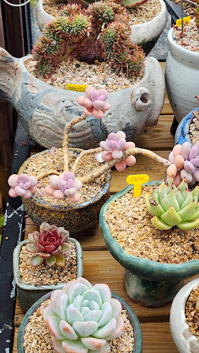 초코루나 - 외식업