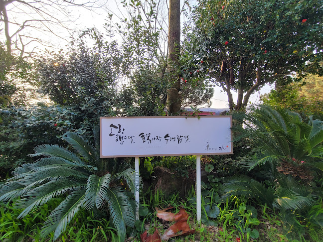 제주특별자치도 서귀포시 남성로