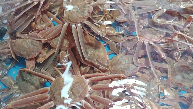 경상북도 포항시 북구 죽도동 572-2