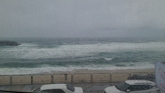 카페 우디 - 속초시