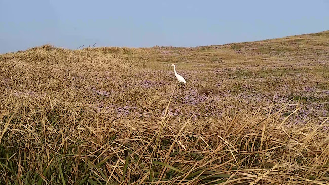 Comentarii opinii despre 바다풍경