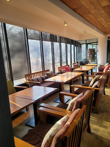 카페애니골 - 고양시