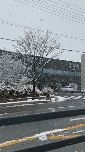 수백당 이천직영점 - 이천시