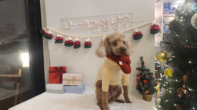 멍스데이 - 수원시