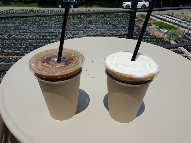 카페 디 쿼드 - 외식업