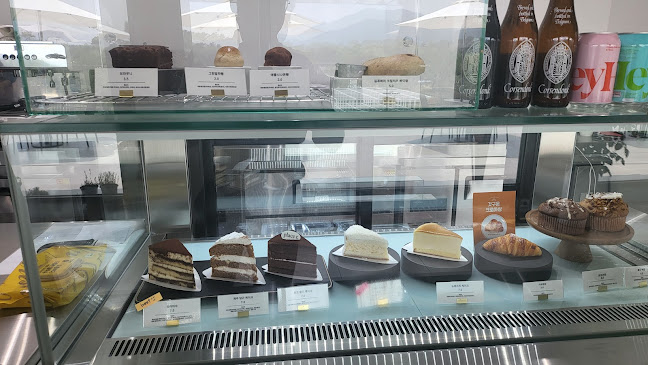 Comentarii opinii despre 플레이스 씨