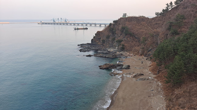 평화주택커피 - 삼척시