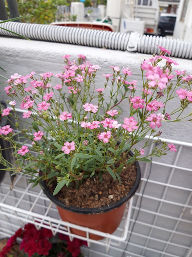 에이스 커피전문점