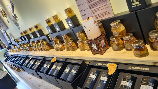 강원특별자치도 동해시 촛대바위길 8