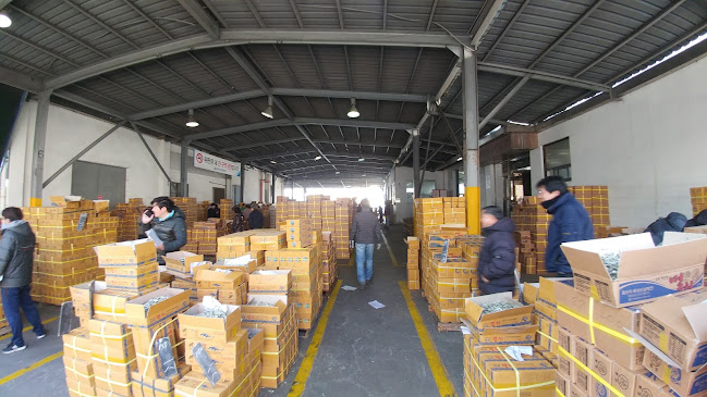 통영멸치 통영류가멸치