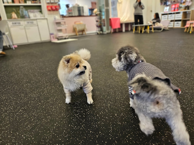 로제몽 - 고양시