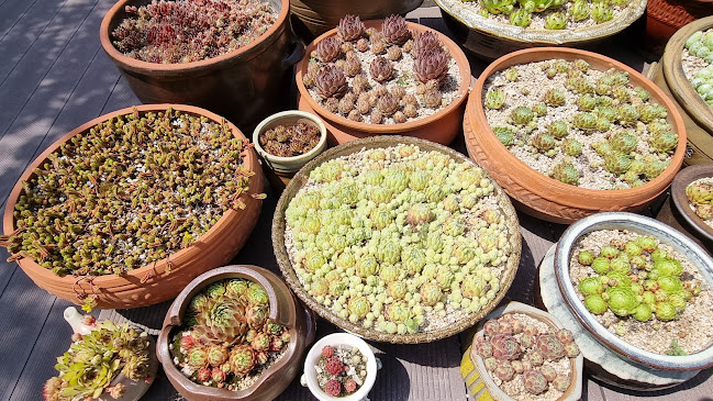 카페용두 - 광양시