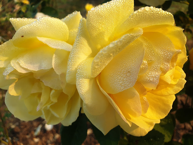 철산시장 - 광명시