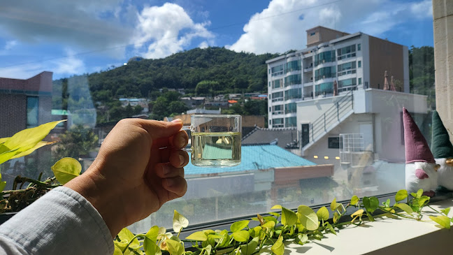 Comentarii opinii despre 꾸움