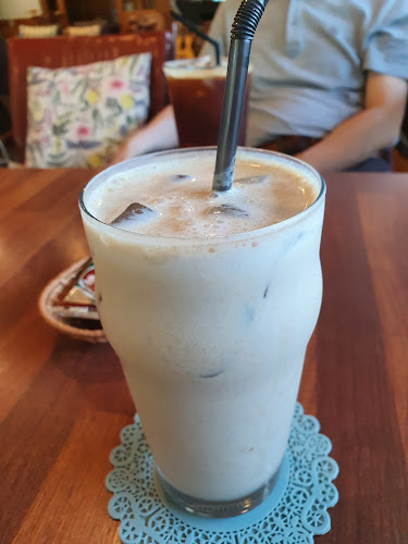 커피나무 - 사천시