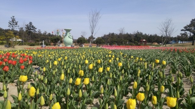 Comentarii opinii despre 알카포네