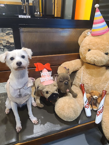 경기도 고양시 덕양구 관산동 19-3