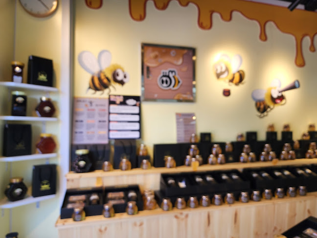 허니홈비 추암점 - 동해시