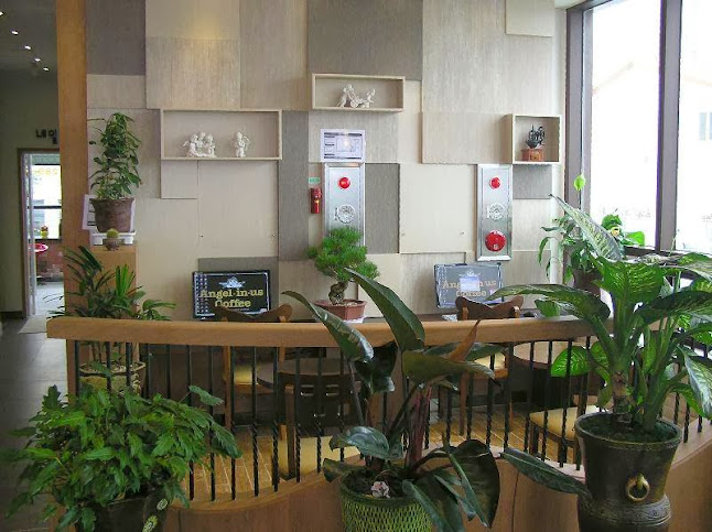 Opinii despre 엔제리너스 목포옥암점 în 목포시 - 외식업