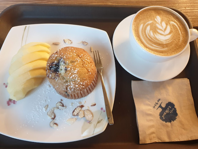 젤코바 - 안동시