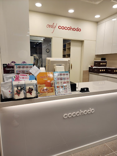 코코호도오송점