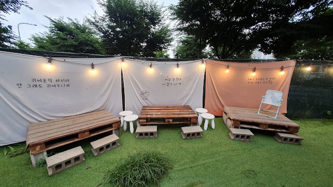 Comentarii opinii despre 딩고