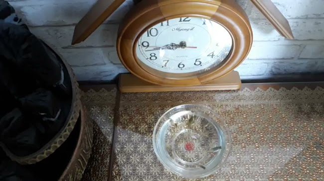 나능이능이버섯백숙 남양주점