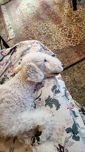 어거스트센트 - 천안시