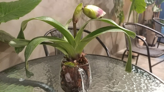 뜰정커피 - 외식업