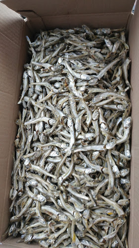 통영멸치 통영류가멸치 - 외식업