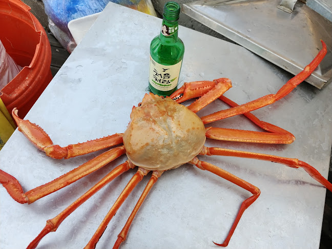 동명항대게마을 - 속초시